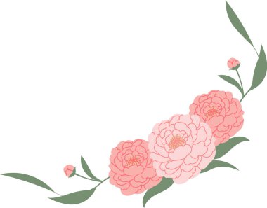 Beyaz fotokopi alanında katmanlı taç yaprakları, yaprak filizi ve tomurcukları olan bir köşe çelengi oluşturan şakayık çiçeği kümesi. Romantizm sembolü, zarafet, düğün davetiyesi ve güzellik. Çizgi film vektör illüstrasyonu.