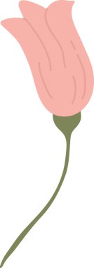 Uzun yapraklı ve kıvrımlı lale dekoratif Art Nouveau serisi. Zarafet, romantizm ve organik süsleme ile yenilenmenin sembolü, zarif çiçek motifi. Çizgi film vektör illüstrasyonu.