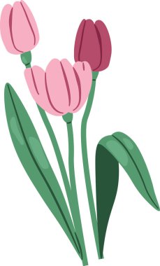 Üç çiçek ve uzun yapraklı lale buketi, temiz şekiller ve yumuşak gölgeler. Büyümenin, sevginin, yenilenmenin ve çiçek açmanın sembolü, karşılama, düğün ve bahçe teması. Çizgi film vektör illüstrasyonu.