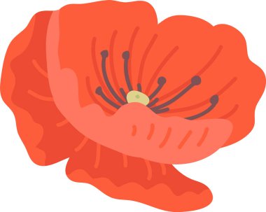 Katmanlı yaprak yapraklı haşhaş başı, koyu kekeme ve tohum merkezi kalın şekilli. Anma, güzellik ve markalaşma için doğa zarafetinin sembolü. Çizgi film vektör illüstrasyonu.