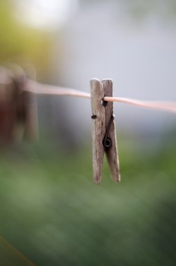 bir çamaşır satırındaki ahşap giysi peg