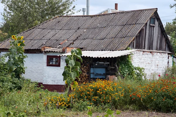 Yeşil çayır Köyü evde — Stok fotoğraf