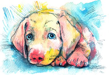 mavi bir arka plan üzerinde yatan köpek yavrusu, suluboya kroki