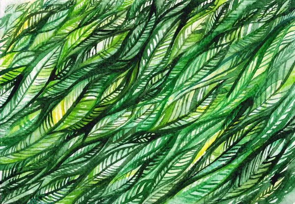 Watercolor green leaves and a line, card, abstract background — Stock Photo, Image