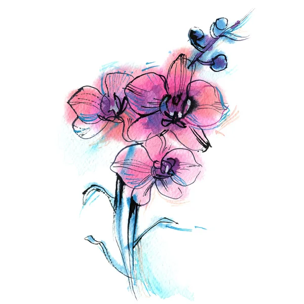 Tres orquídea púrpura, rama, flor, boceto de acuarela sobre fondo blanco — Foto de Stock