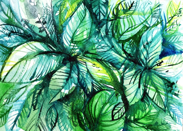 Faisceaux de feuilles vertes, illustration aquarelle — Photo