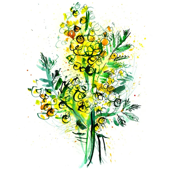 bouquet of mimosa on a white background, watercolor painting