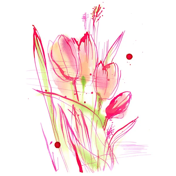 Bouquet of pink tulips on a white background, watercolor ink painting — Stock Photo, Image