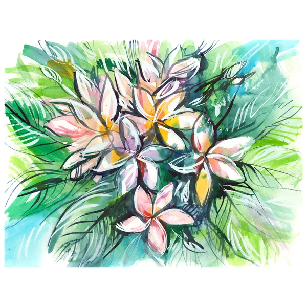 Bush of colorful frangipani on a white background, plumeria, watercolor painting — Stock Photo, Image