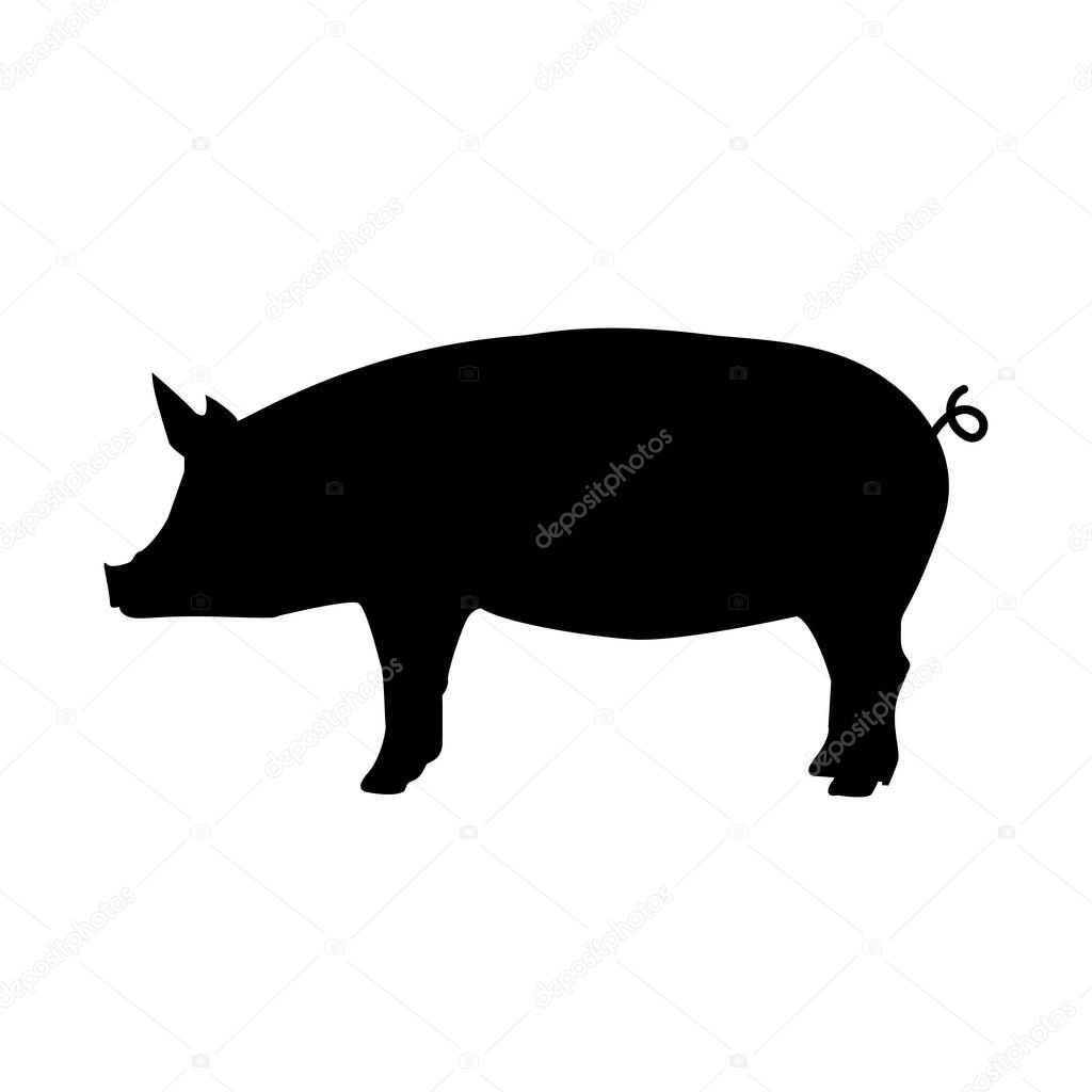 Pig on white background. pig sign. pork animal symbol. pig silhouette side retro vintage.