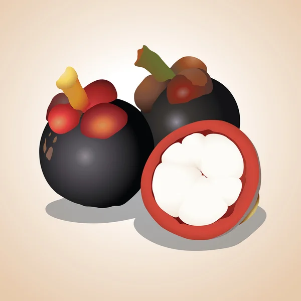 Vektör çizim - Mangosteen