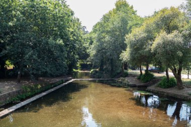 Portekiz 'deki yoğun nehir kenarı bitki örtüsüyle çerçevelenmiş Ponte de Lima' daki Estoraos Nehri 'nin sakin ve berrak suları.