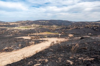 Bir orman yangınından sonra ıssız arazi, geniş bir alanda kavrulmuş toprak, yanmış toprak, ve parçalı bulutlu bir gökyüzünün altında dolambaçlı toprak yolu ile yok edilmiş bitki örtüsü.