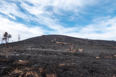 Bir orman yangınından sonra tamamen kömürleşmiş bir dağ, siyah kül ve yanmış bitkilerle kaplı bir zemin gösteriyor dağınık bulutlu mavi bir gökyüzüne karşı