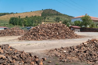 Açık hava toprak bahçesinde satılık birkaç tepecikte odun parçaları yığını, kırsal bir zemin ve mavi gökyüzünün altında bir tepe.