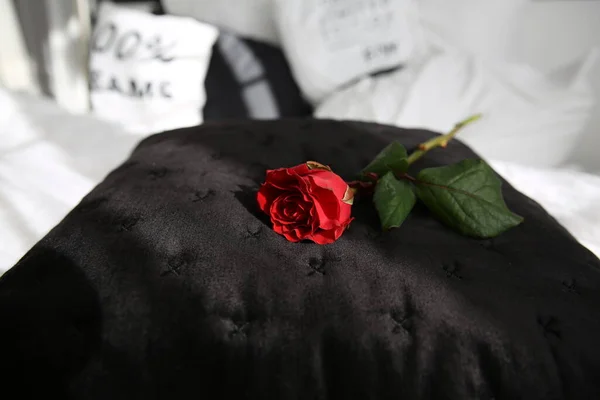 Maravillosa Flor Rosa Roja Sobre Ropa Cama Negro Habitación Blanca — Foto de Stock