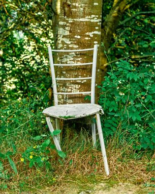 Çimenli, fazla büyümüş bir alanda ağaca yaslanmış aşınmış ahşap bir sandalye, yumuşak gün ışığında ahşap ve doğal çevreyi gösteriyor..