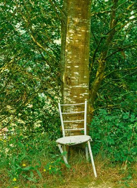 Ağaçlık bir alanda bir ağacın gövdesine yaslanmış, doğal orman bitkileriyle çevrili, aşınmış beyaz bir tahta sandalye..