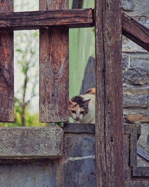 Nehirde akan bir grup kaya pürüzsüz ve ipeksi bir etki yaratıyor. Sakin doğa sahnesi Yumuşak ışıkla.