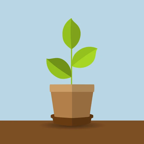 Planta verde en maceta con sombra en diseño plano — Vector de stock