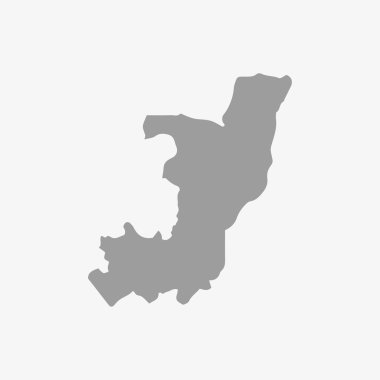 Cumhuriyeti Kongo vektör harita gri