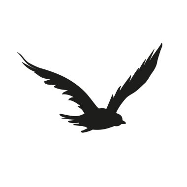 Uçuş yaymak kanatlı yırtıcı kuş siluet vektör