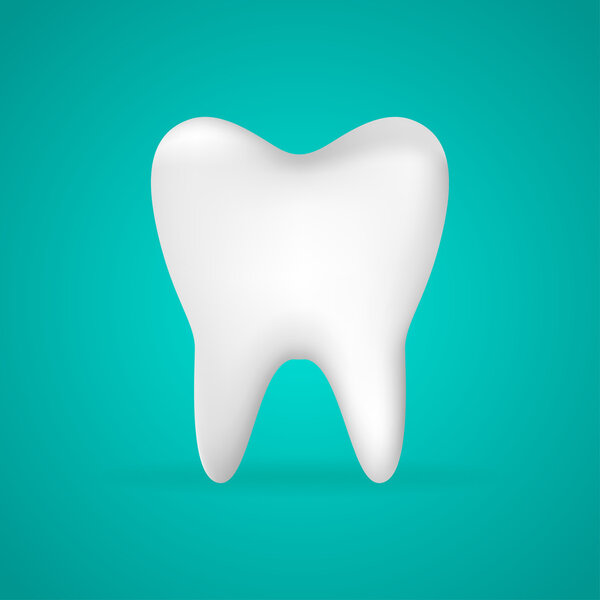 Photo-realistic vector illustration of a white tooth - isolated icon