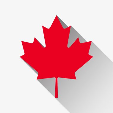 Red maple leaf with a long shadow on a white background