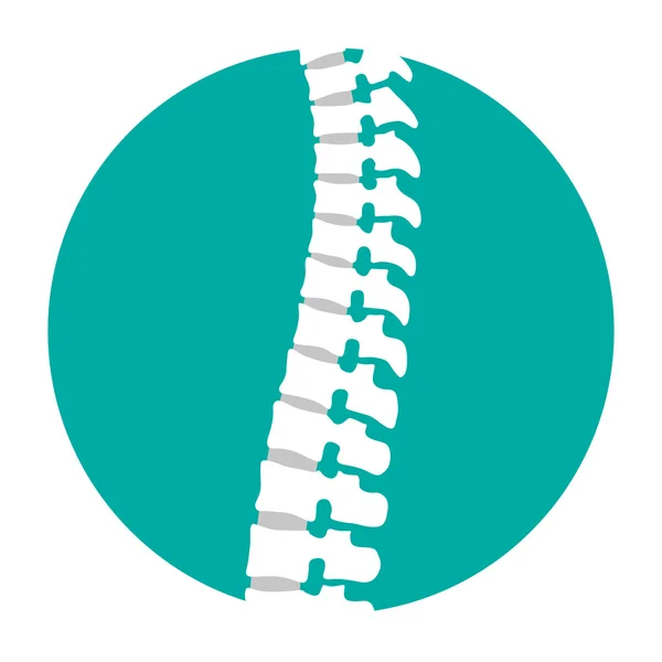 Icona piatta della colonna vertebrale per terapia ortopedica, centro diagnostico . — Vettoriale Stock