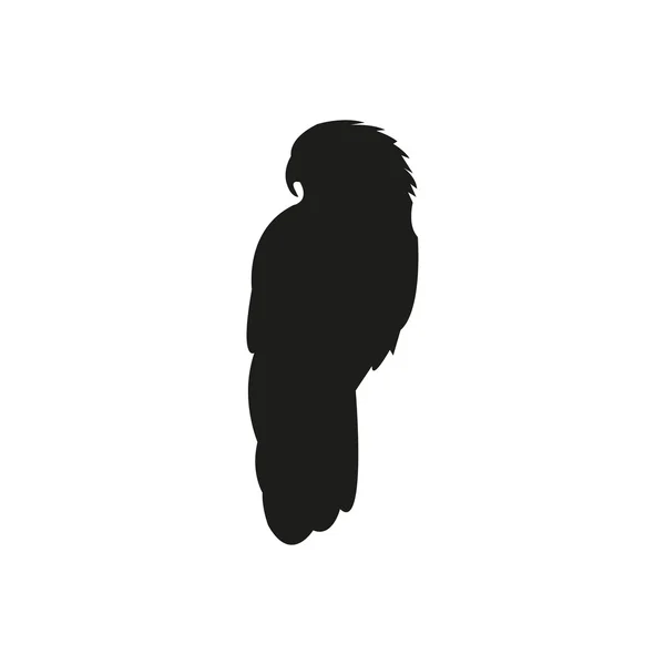 Silueta negra de loro sobre fondo blanco — Vector de stock