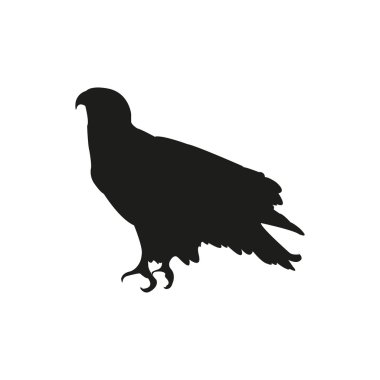 Kel kartal siluet oturma. Vektör çizim Eps10