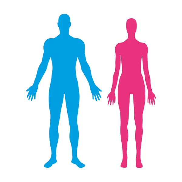 Des silhouettes d'homme et de femme. Illustration vectorielle — Image vectorielle