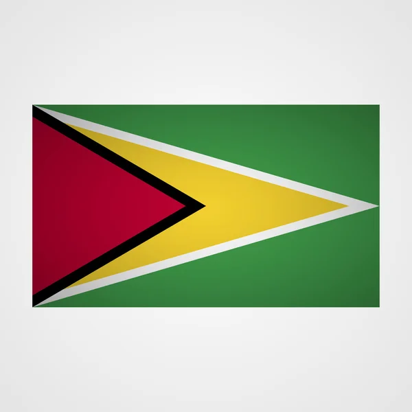 Guyana-Flagge auf grauem Hintergrund. Vektorillustration — Stockvektor