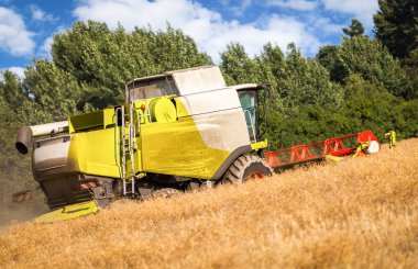Alman havester bir Mısır alan üzerinde çalışır