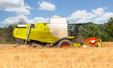 Alman havester bir Mısır alan üzerinde çalışır