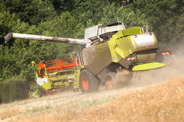 Немецкий Хавестер работает на кукурузном поле — стоковое фото