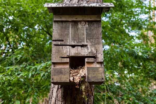 Handgemachter Vogeltisch aus Holz — Stockfoto