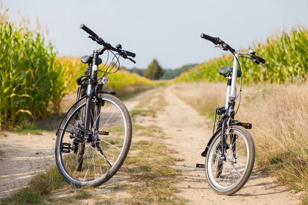 Zwei Fahrräder auf einem Maisfeld — Stockfoto