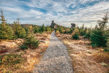 Bavyera / Almanya 'da Dreisesselberg' de yürüyüş yolu.