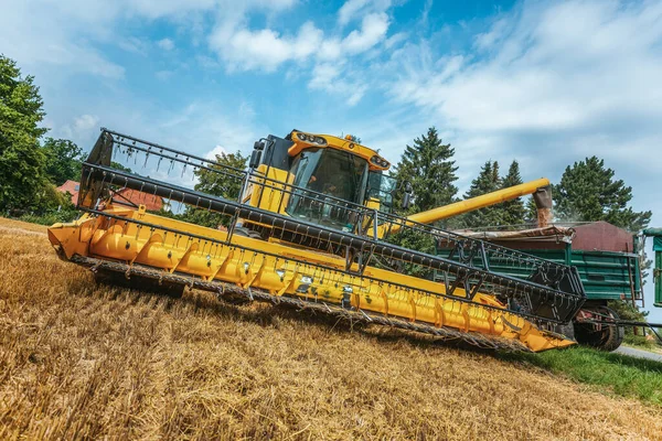 Ein Gelber Mähdrescher Erntet Weizen Auf Einem Feld Deutschland — Stockfoto