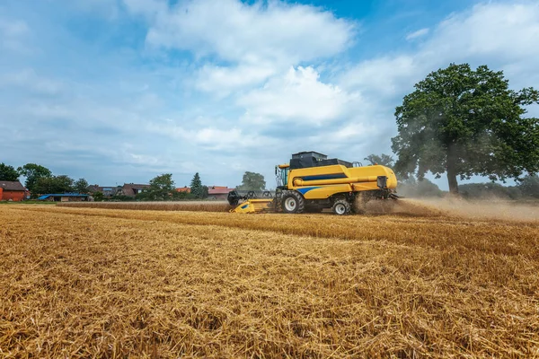 Uma Combinação Amarela Colhe Trigo Campo Alemanha — Fotografia de Stock