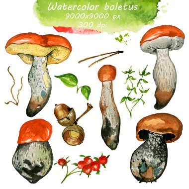 Yabani mantar ile Seamless Modeli