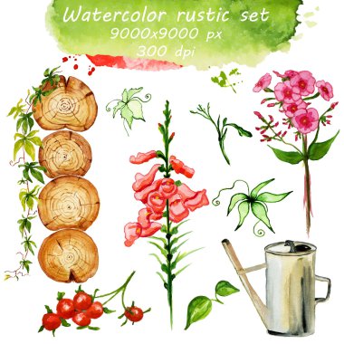 floral watercolor collection in rustic style clipart