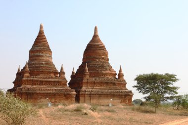 eski Budist tapınakları ve pagodadan Bagan, Myanmar