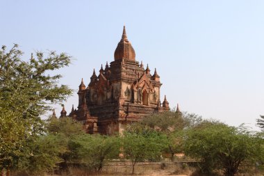 eski Budist tapınakları ve pagodadan Bagan, Myanmar
