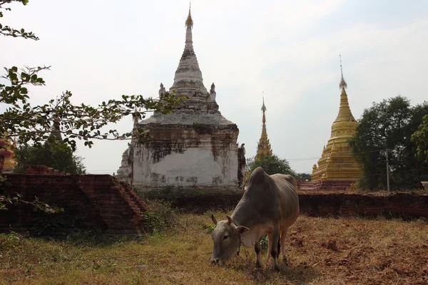 मंडळाजवळील इनवा येथे जुन्या बौद्ध मंदिराचे अवशेष. म्यानमार — स्टॉक फोटो, इमेज