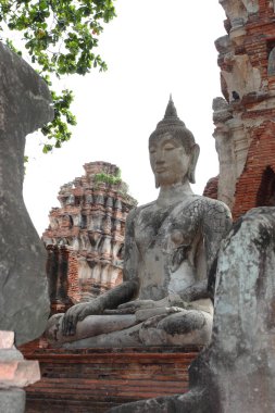Wat Phra Mahathat tarihi park Ayutthaya, Tayland.