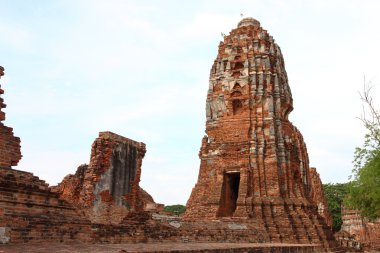 Wat Phra Mahathat tarihi park Ayutthaya, Tayland.