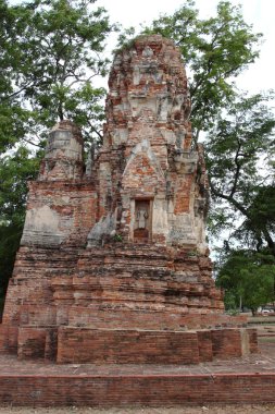 Wat Phra Mahathat tarihi park Ayutthaya, Tayland.