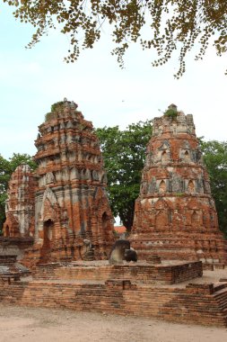 Wat Phra Mahathat tarihi park Ayutthaya, Tayland.
